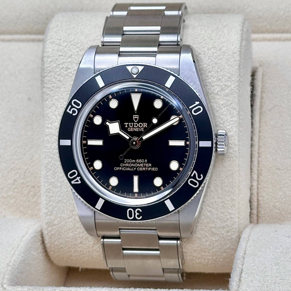 Tudor Black Bay 54 Ref. 79000N