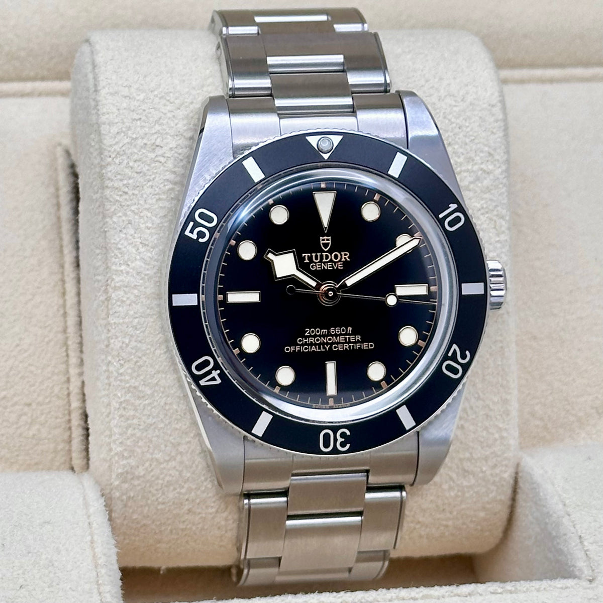 Tudor Black Bay 54 Ref. 79000N