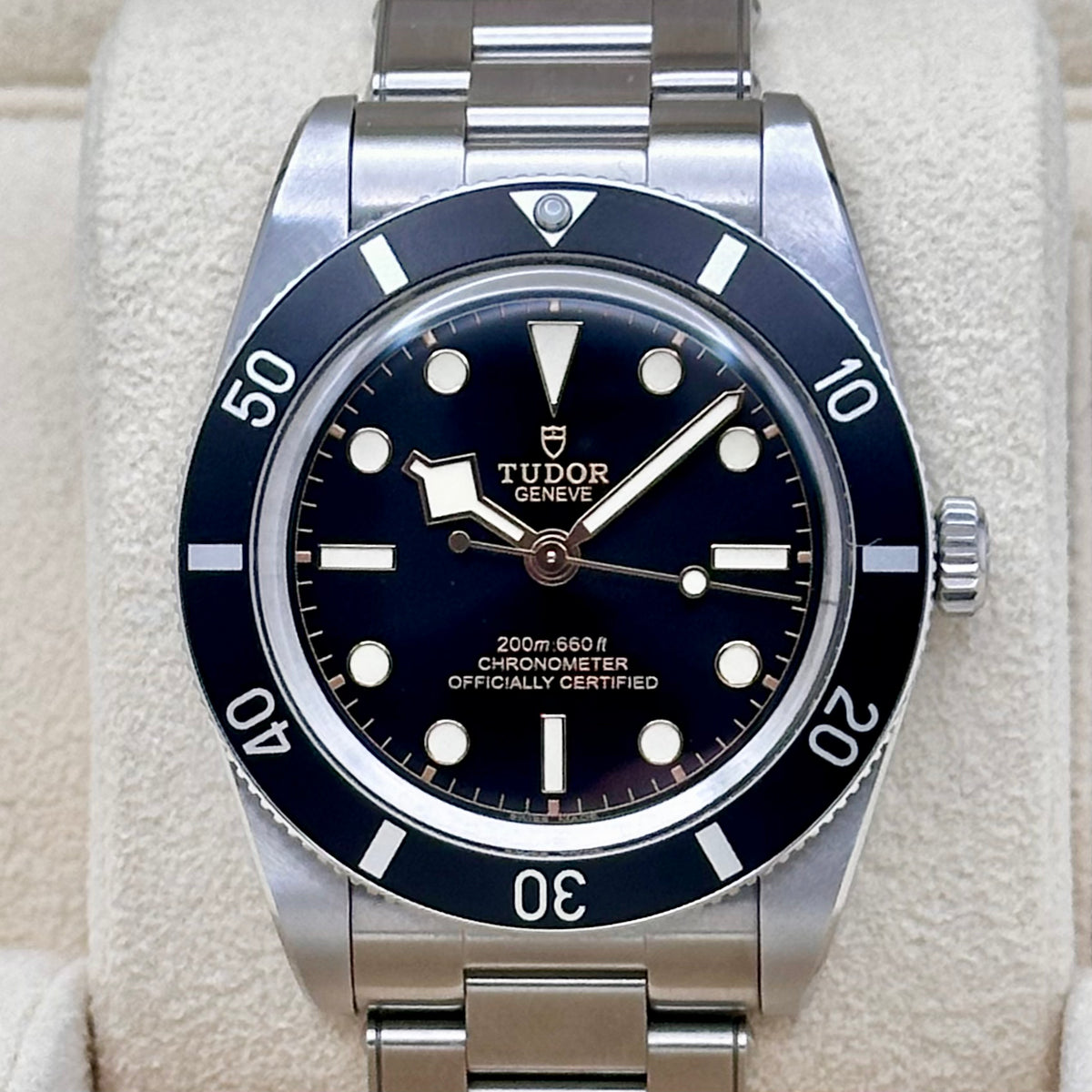 Tudor Black Bay 54 Ref. 79000N